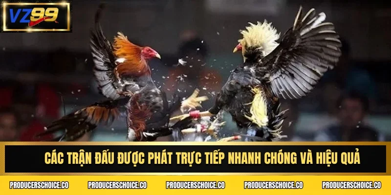 Các trận đấu được phát trực tiếp nhanh chóng và hiệu quả