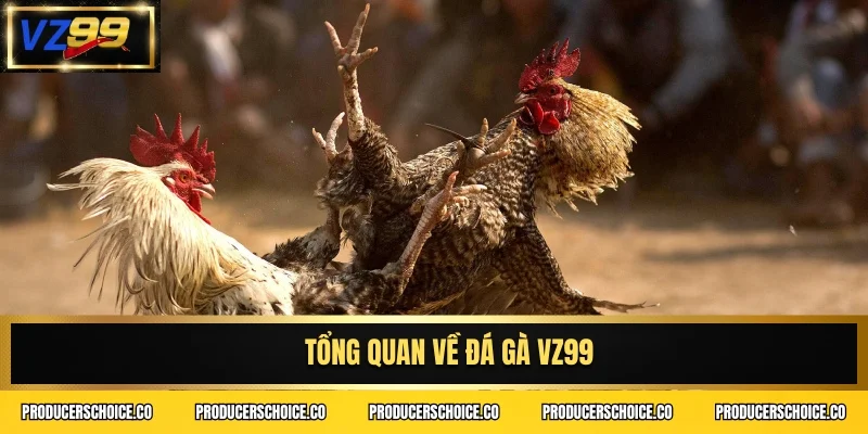 Tổng quan về đá gà VZ99